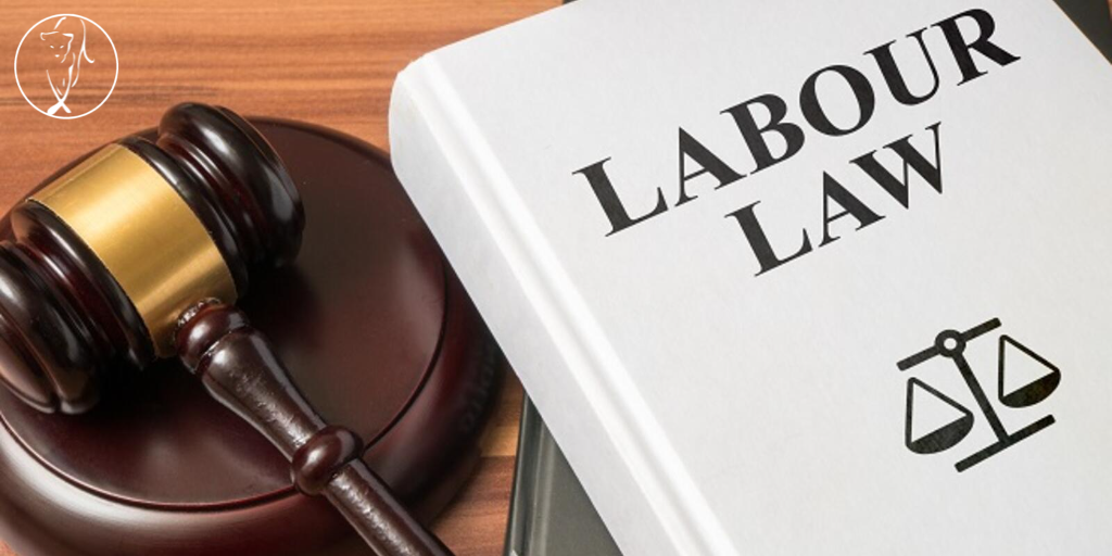 Labour Law in Turkey